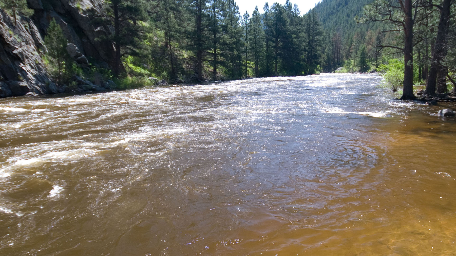 Water flowing down a river with rocks and trees along edges. 