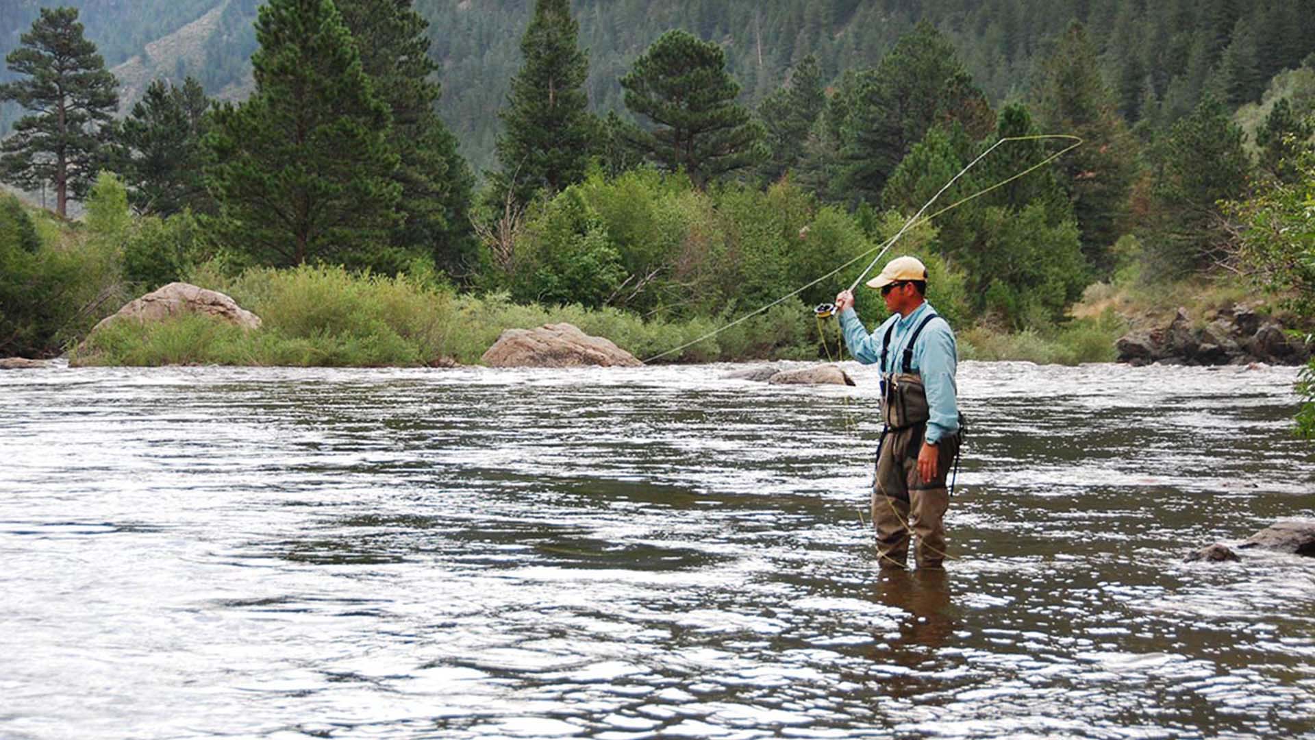 Man standing in a river fly fishing. 