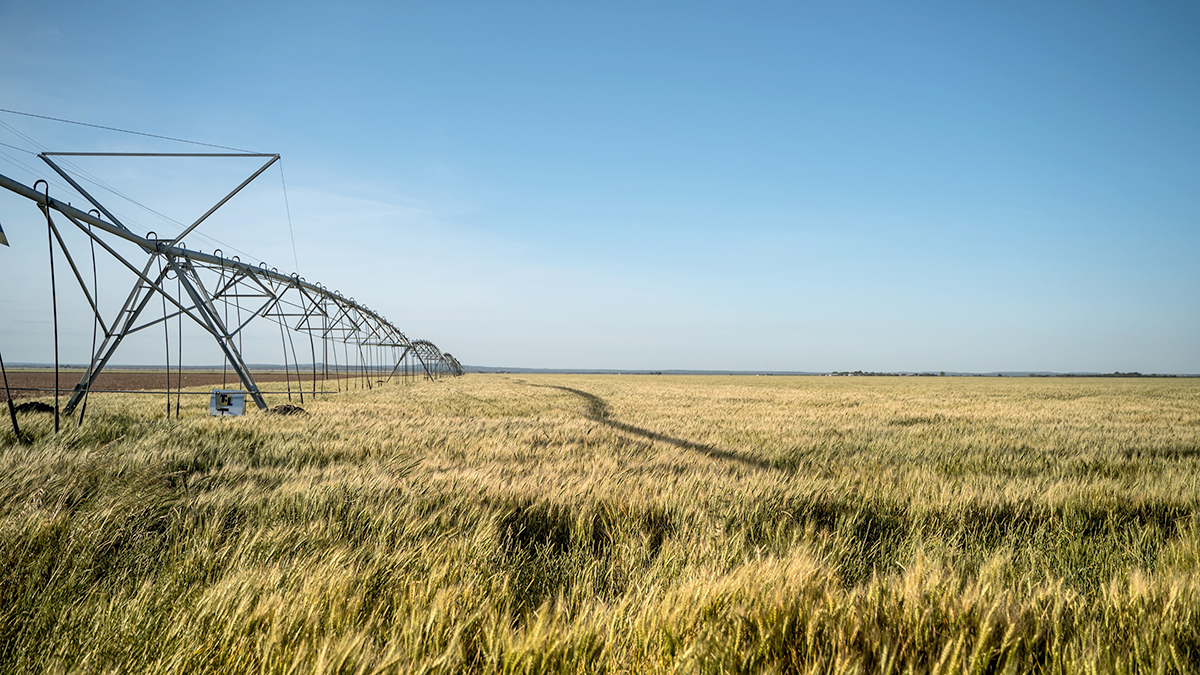 water pivot irrigating fields