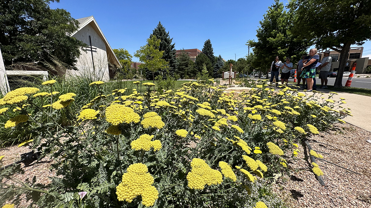 Grant project at first congregational church in Greeley, July 2023