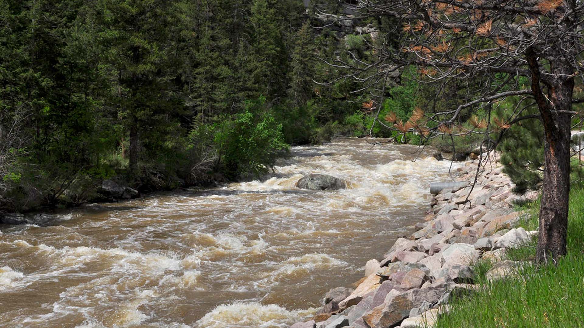 Water rushing down the Big Thompson River canyon.