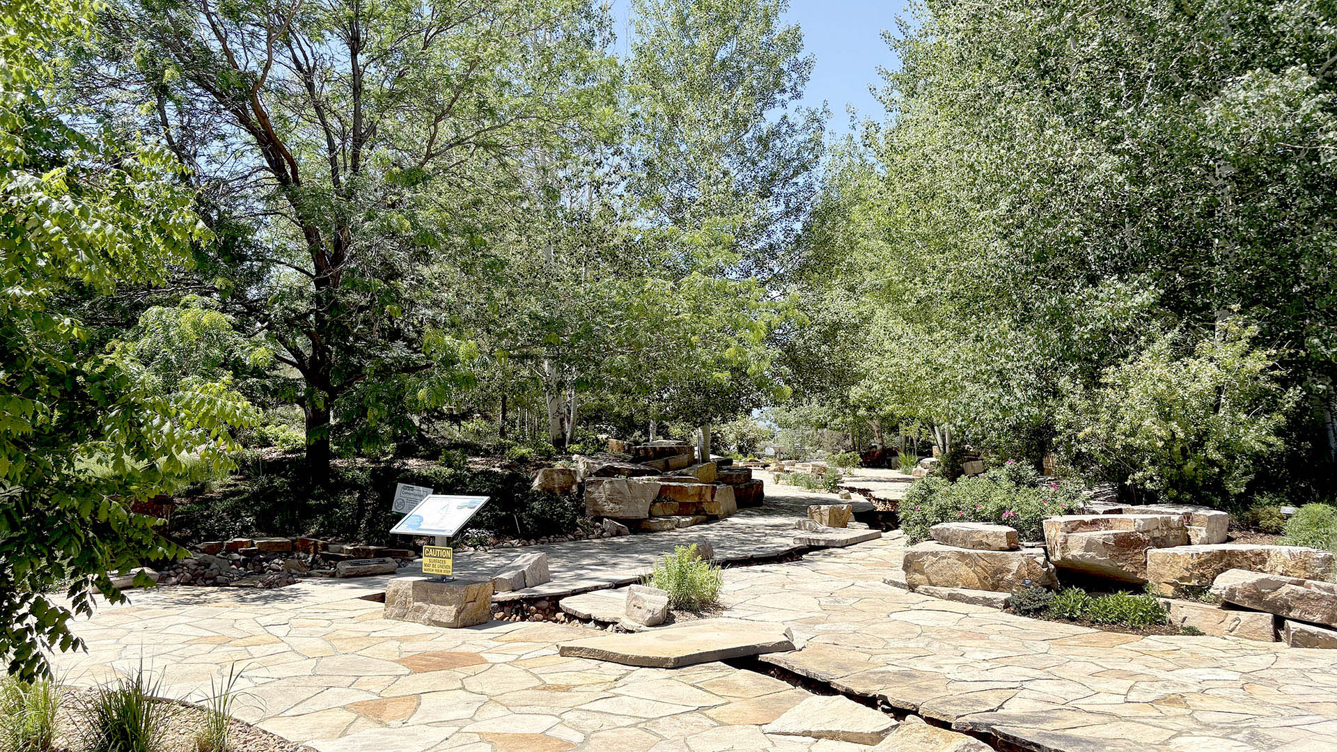 Interpretive Area in Northern Water backyard with water feature and trees.