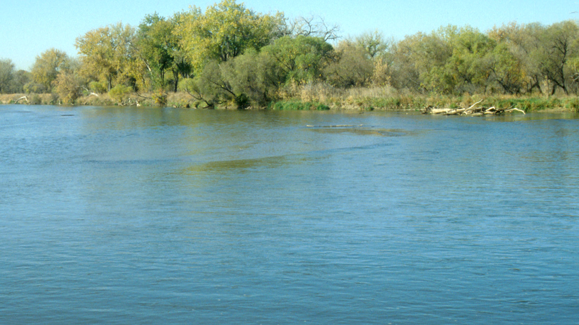 Water running in a river with minimal trees along the edge.
