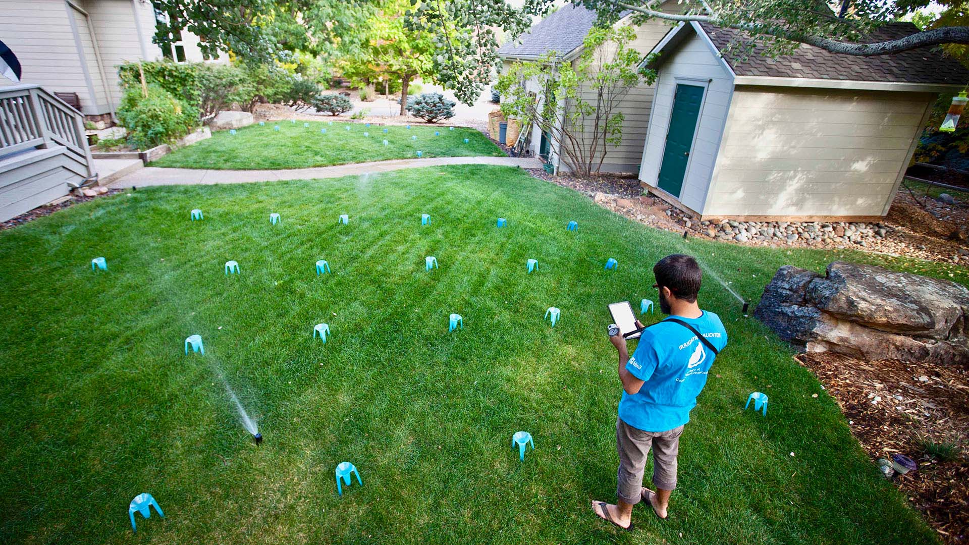 Man conducting an irrigation efficiency cup test on a lawn.