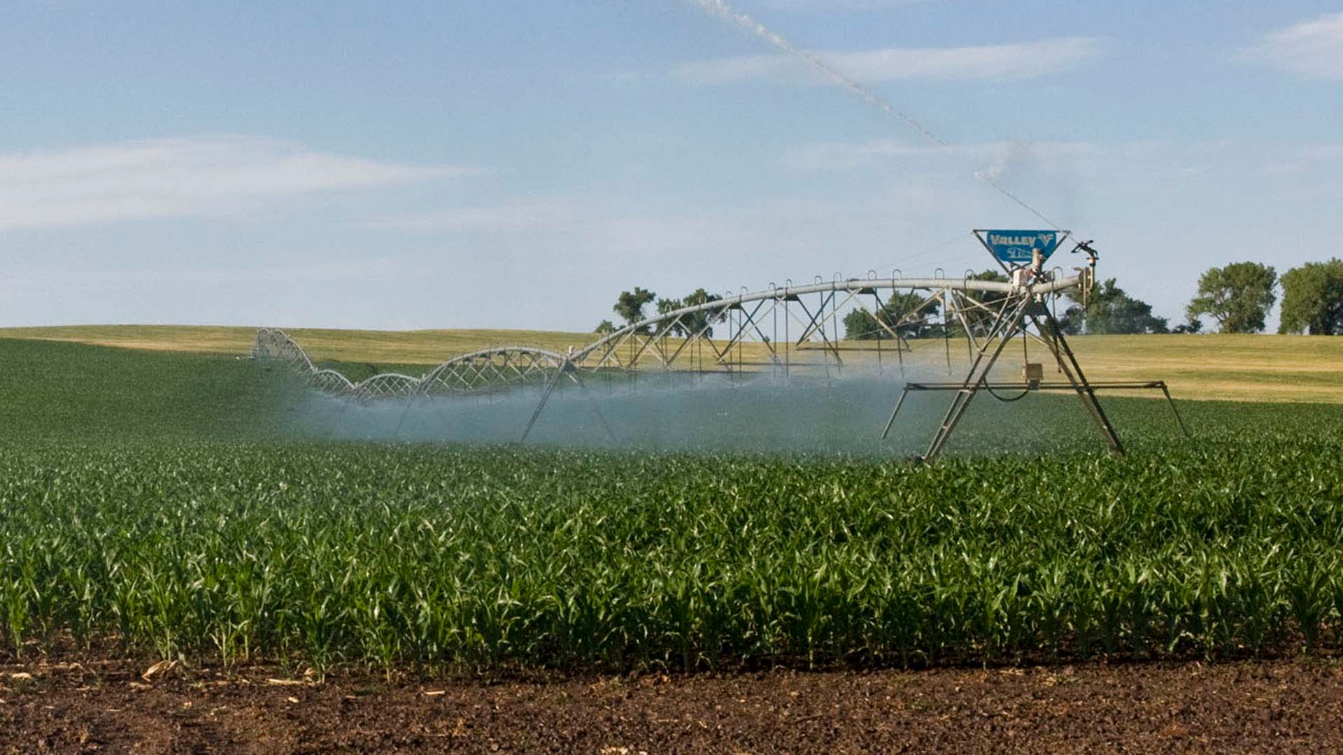 Agricultural pivot watering fields of crops. 