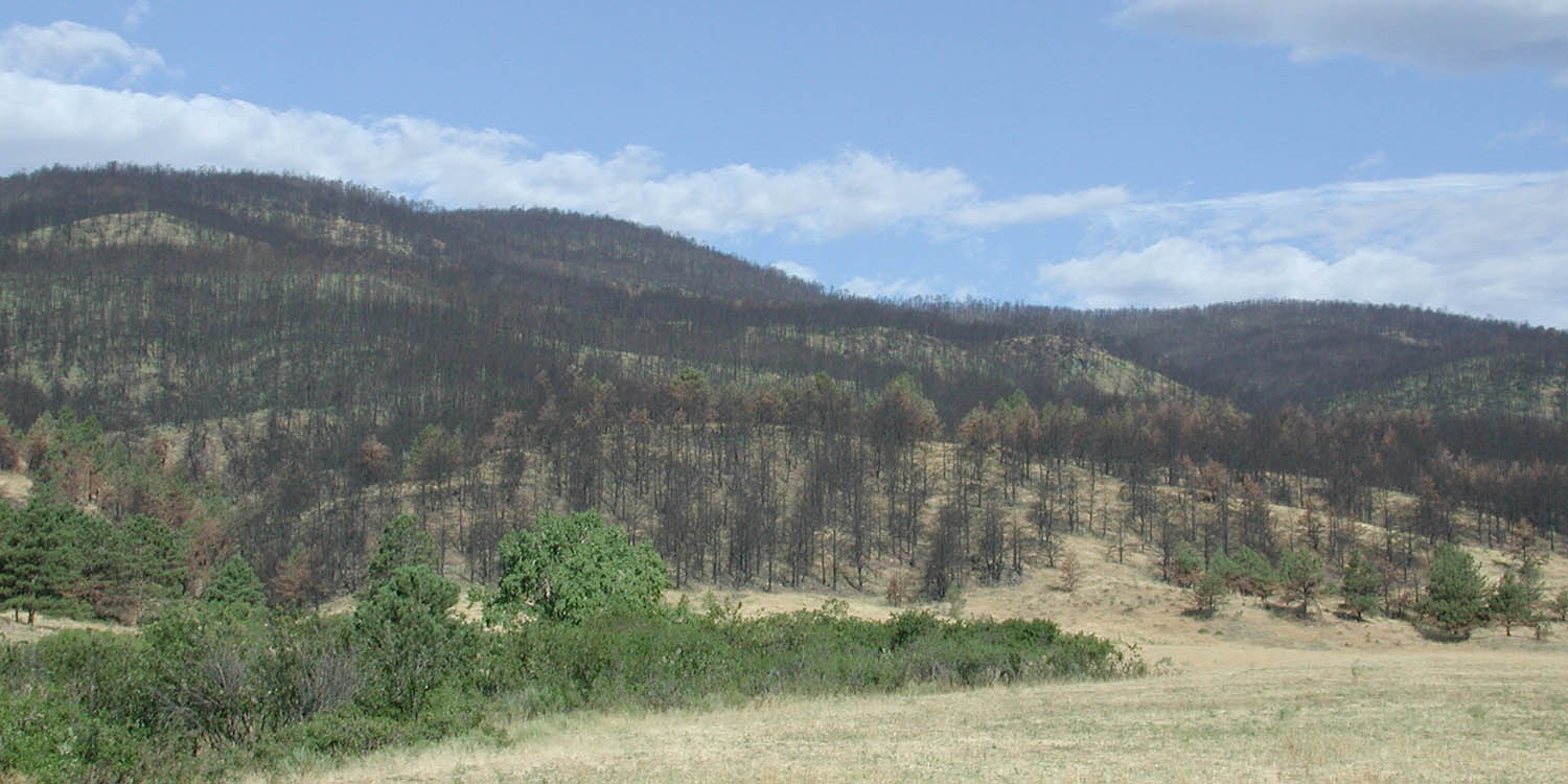 Burn scar from the Bobcat Fire