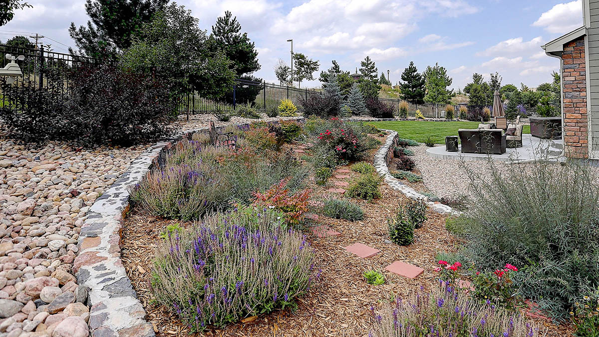 Xeriscape landscape