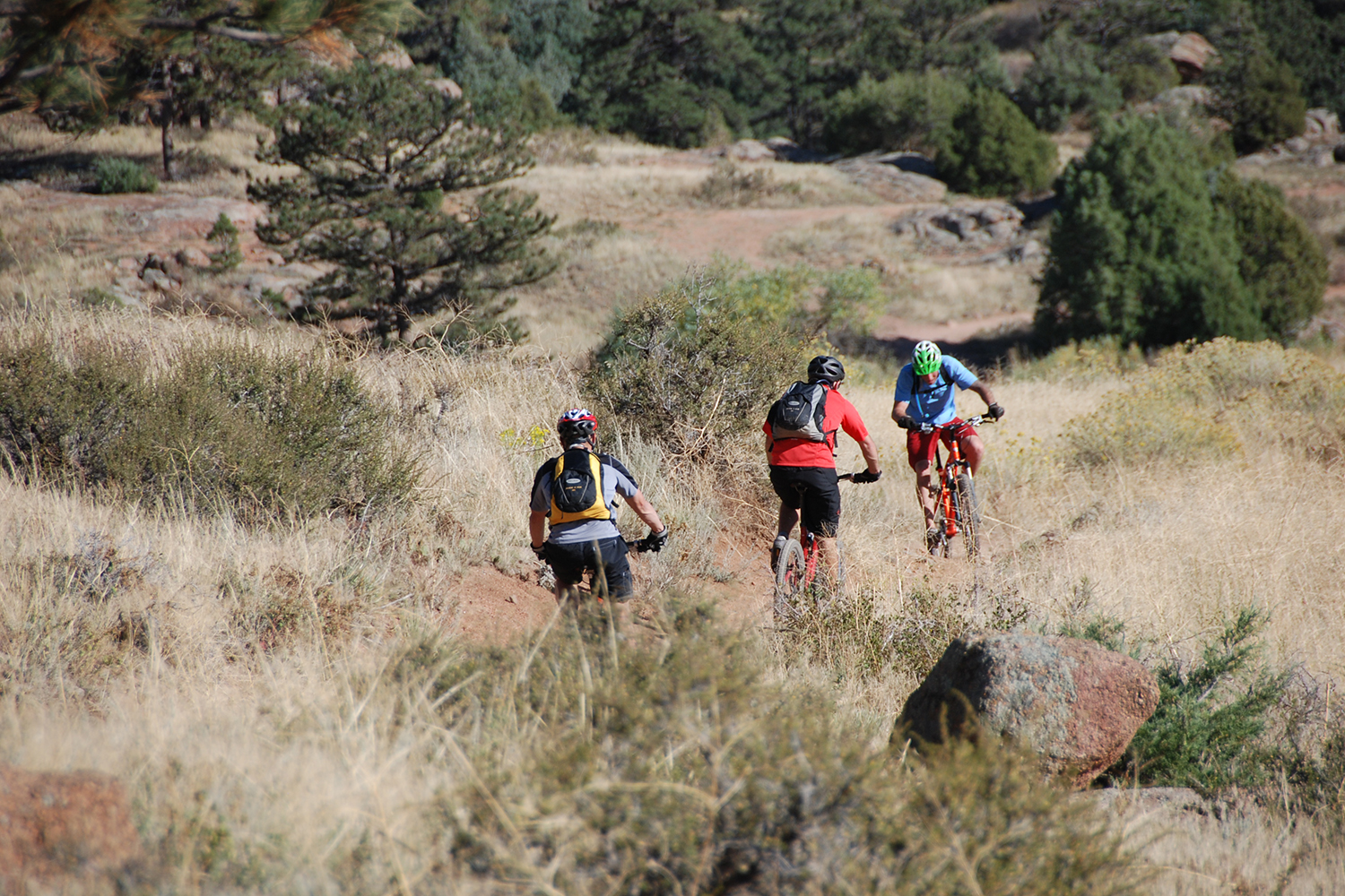 Three people mountain biking.