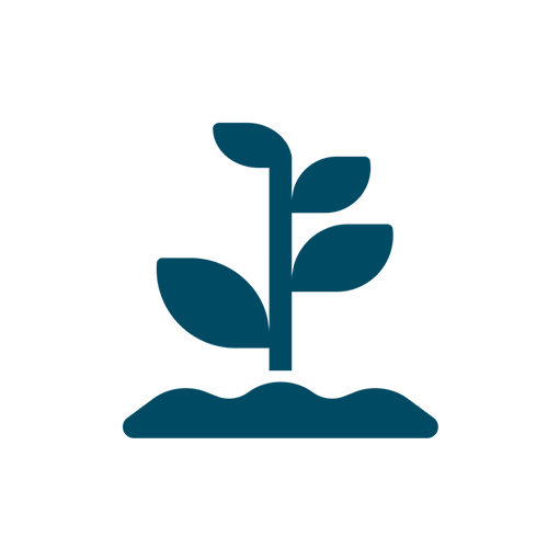 icon of plant