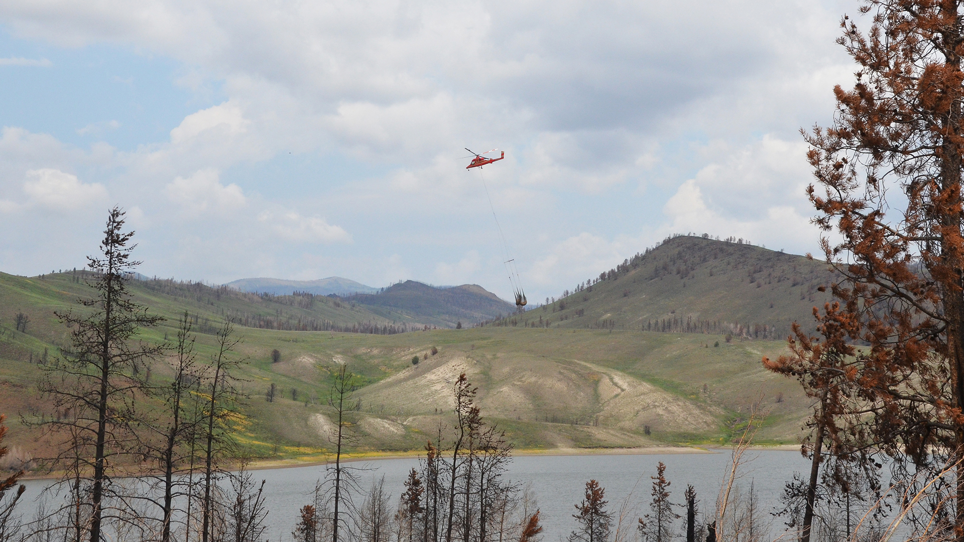 A helicopter flys over Willow Creek Reservoir dropping mulch. 