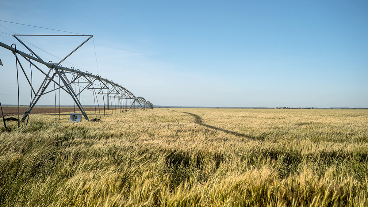 water pivot irrigating fields