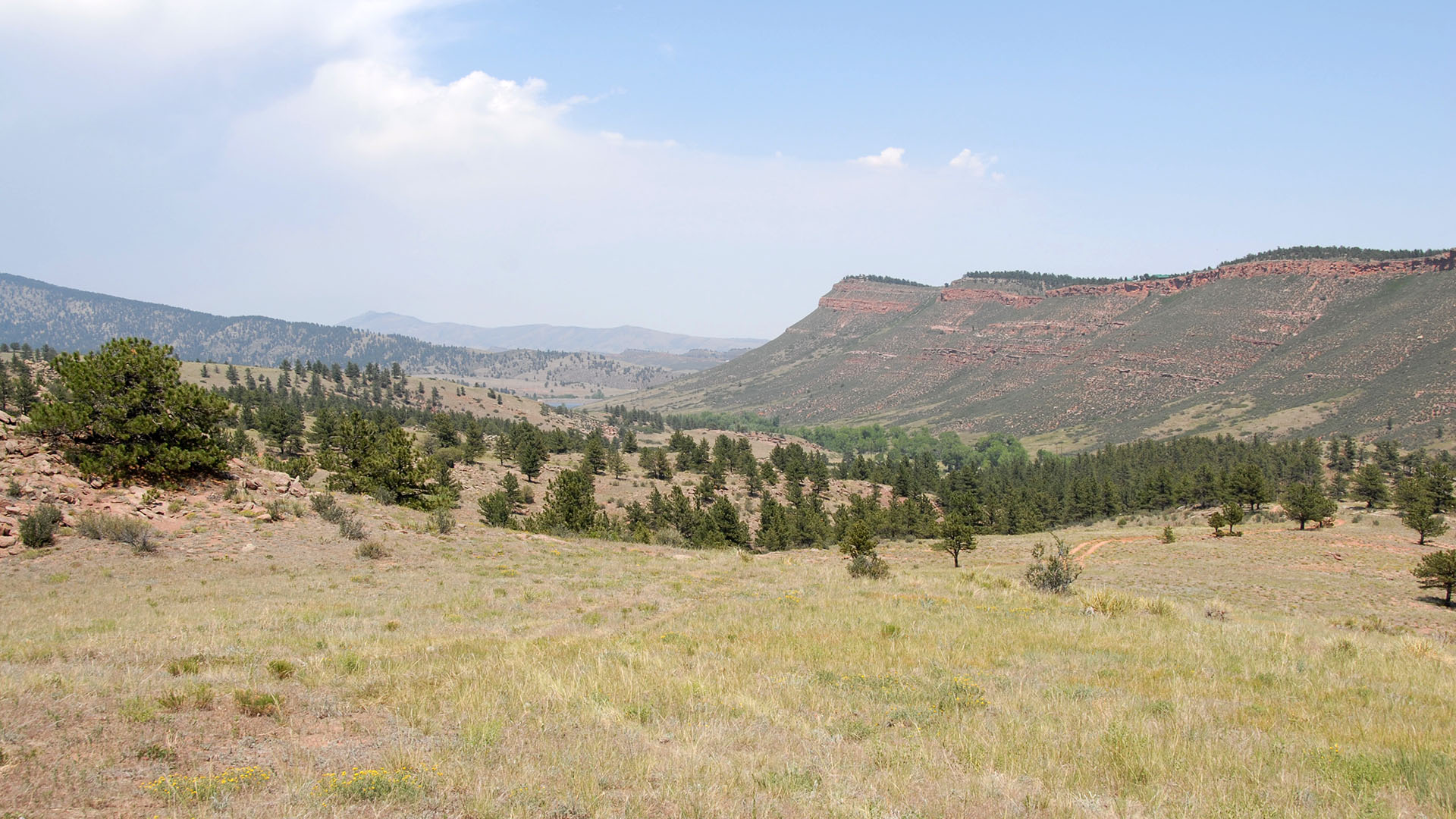 Valley with trees and bluffs to the right.