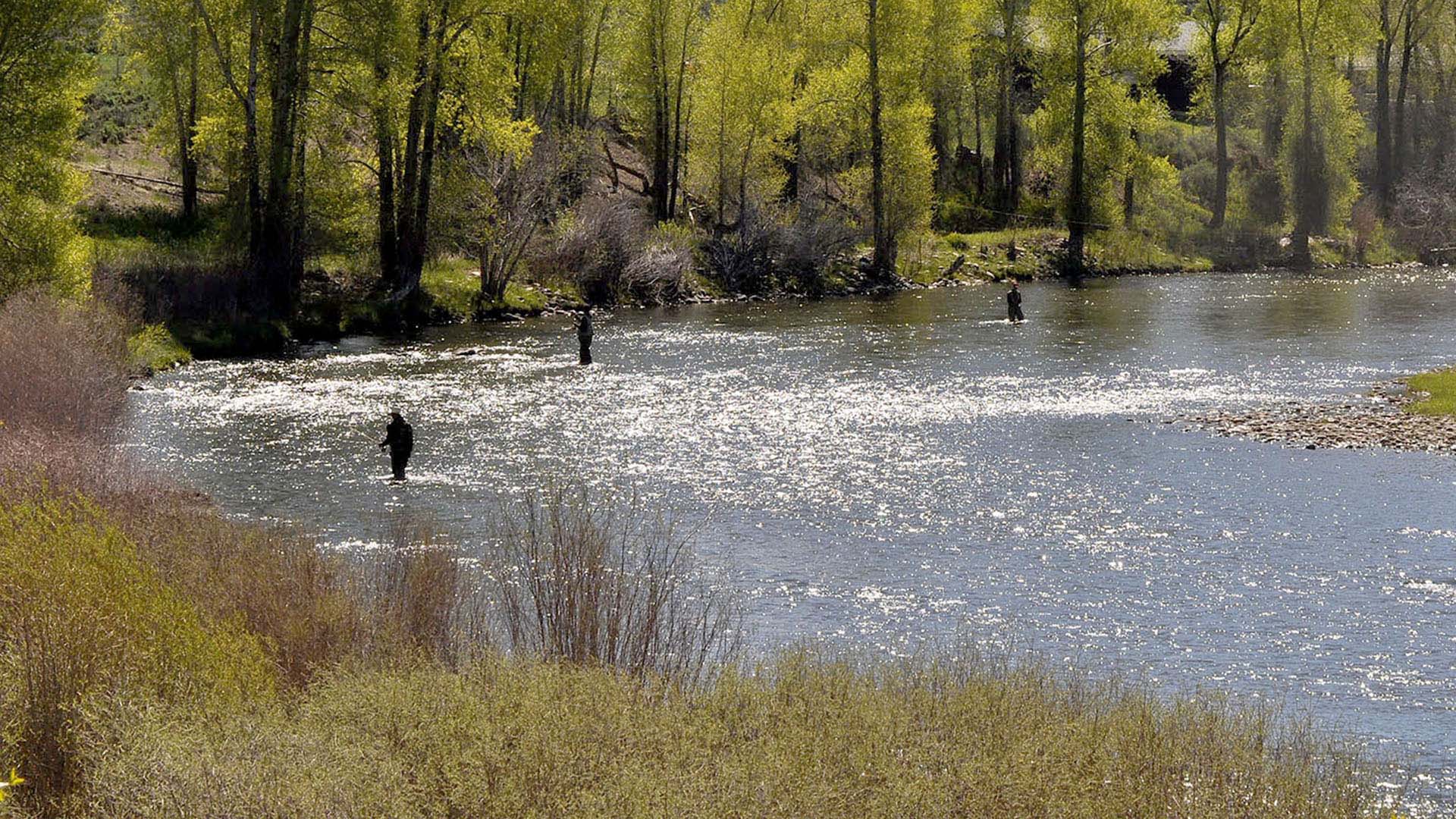 Three men standing in the Colorado River fishing. 