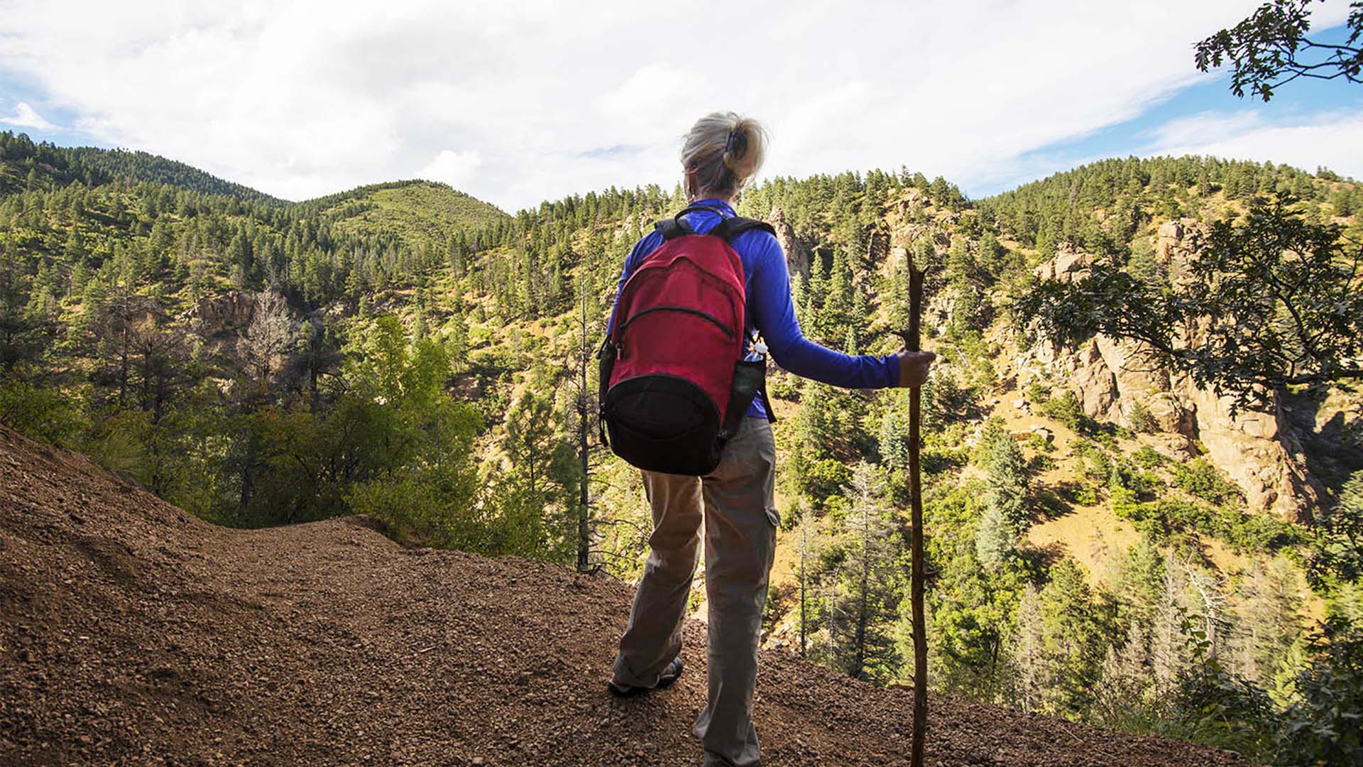 Woman with backpack on and holding a walking stick looking out over trees below on a hike.