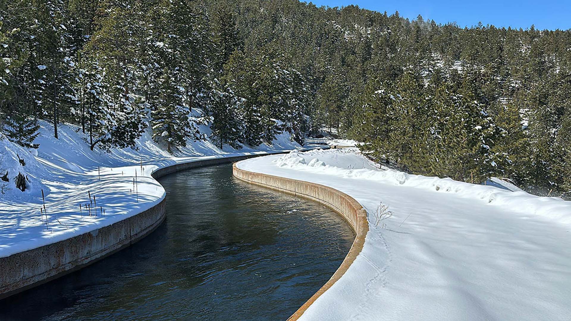 Snow along a water canal with tall evergreen trees surrounding.