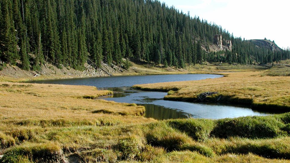 Water flowing in wetland areas surrounded by mountains. 