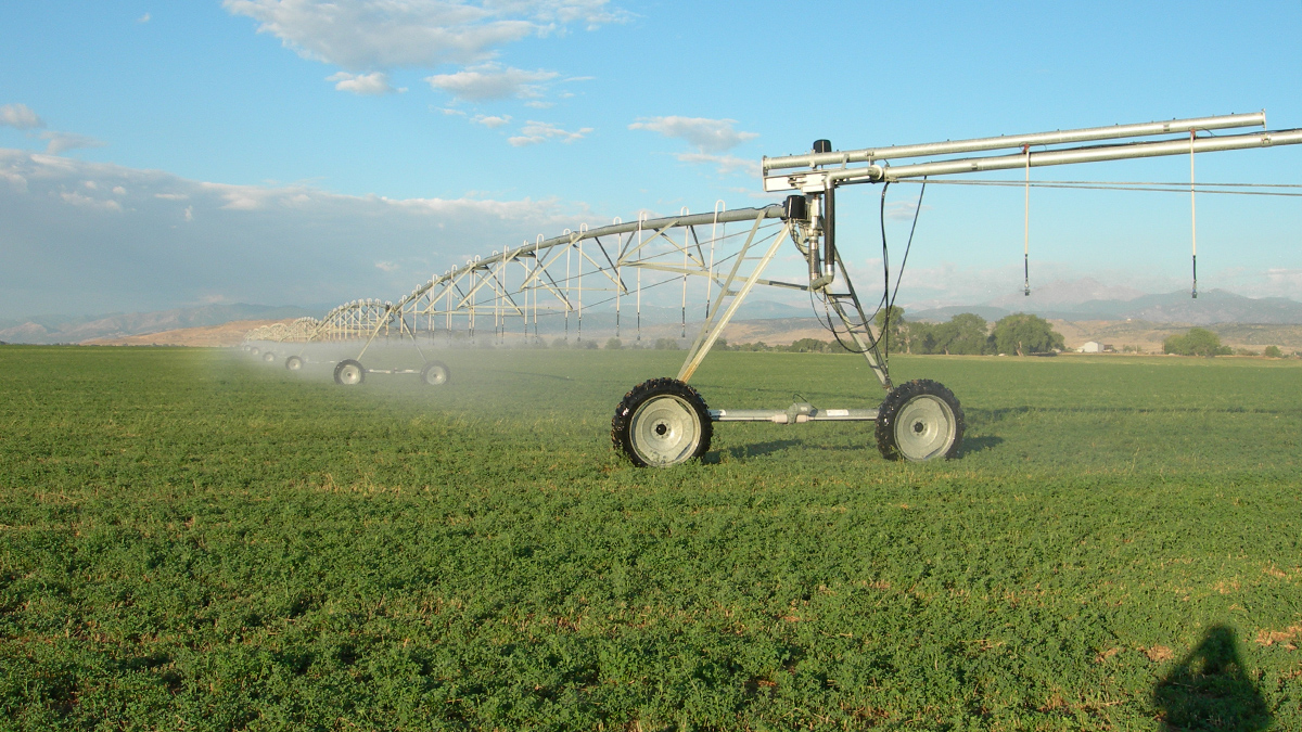 Ag pivot watering a crop in Northern Colorado