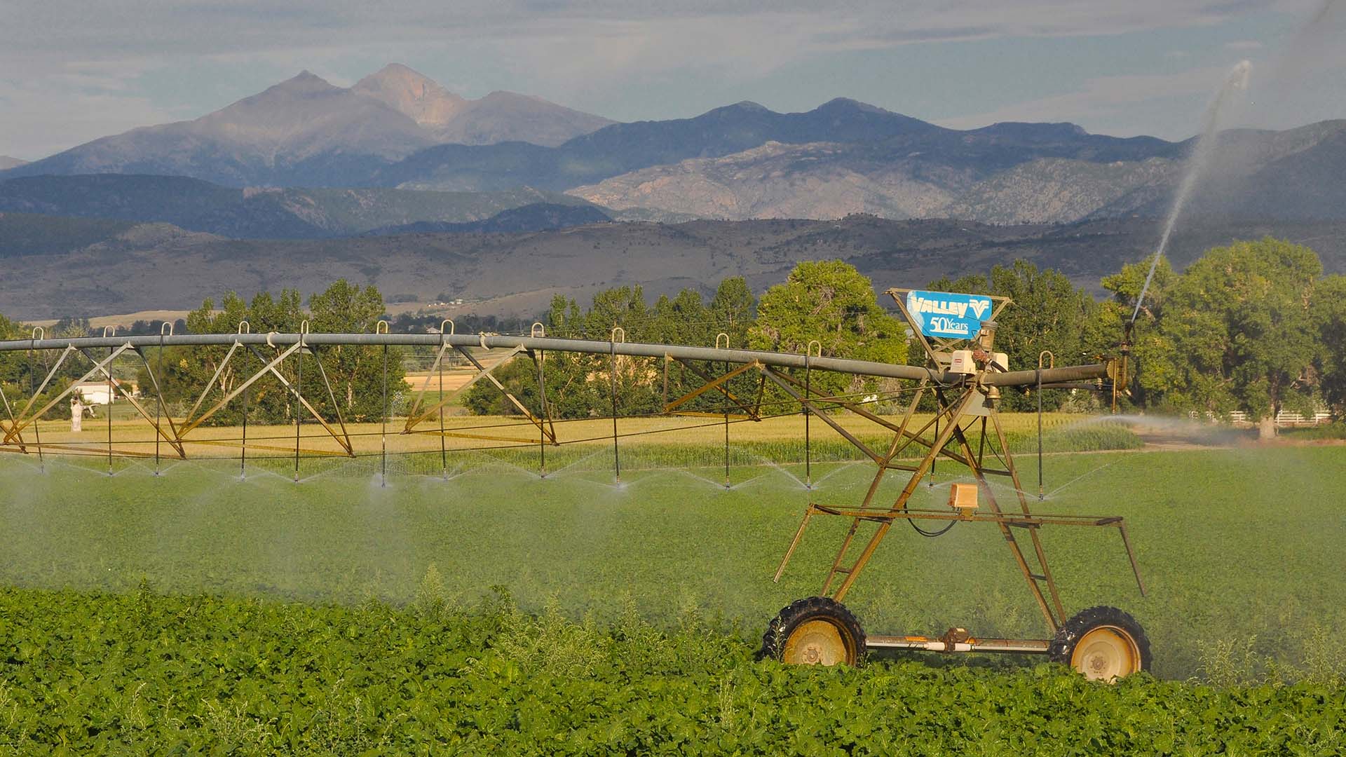 Agricultural pivot water crops with the Front Range mountains in the background.