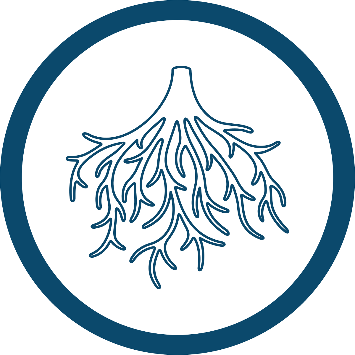 icon root system on plants