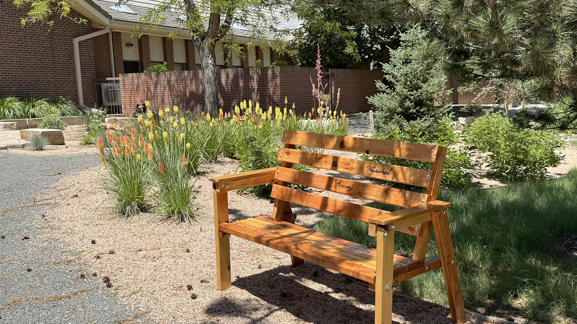 Wooden bench in foreground surrounded by water-wise plants and rock.