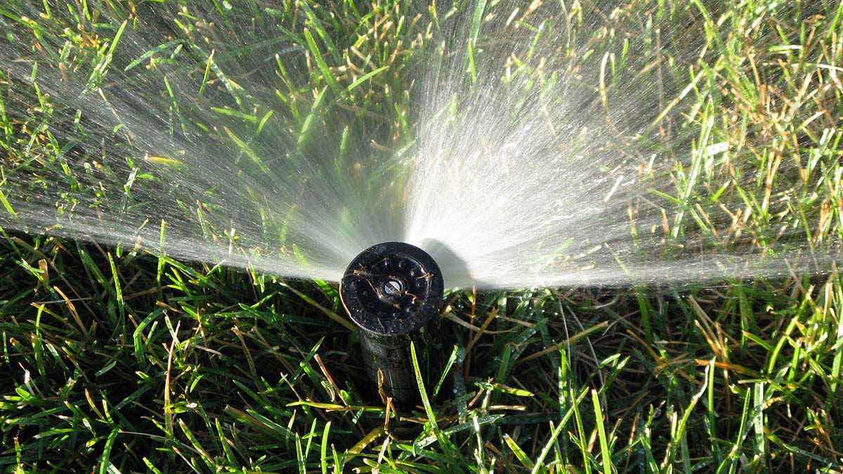 Sprinkler head spraying water on green grass