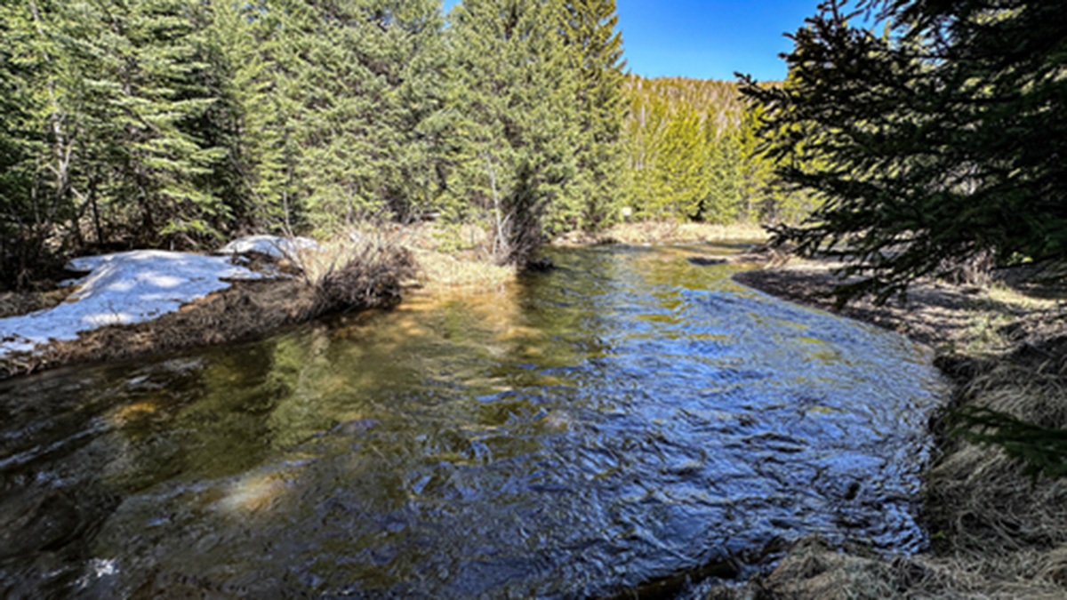 Colorado River headwaters in Rocky Mountain National Park in early June