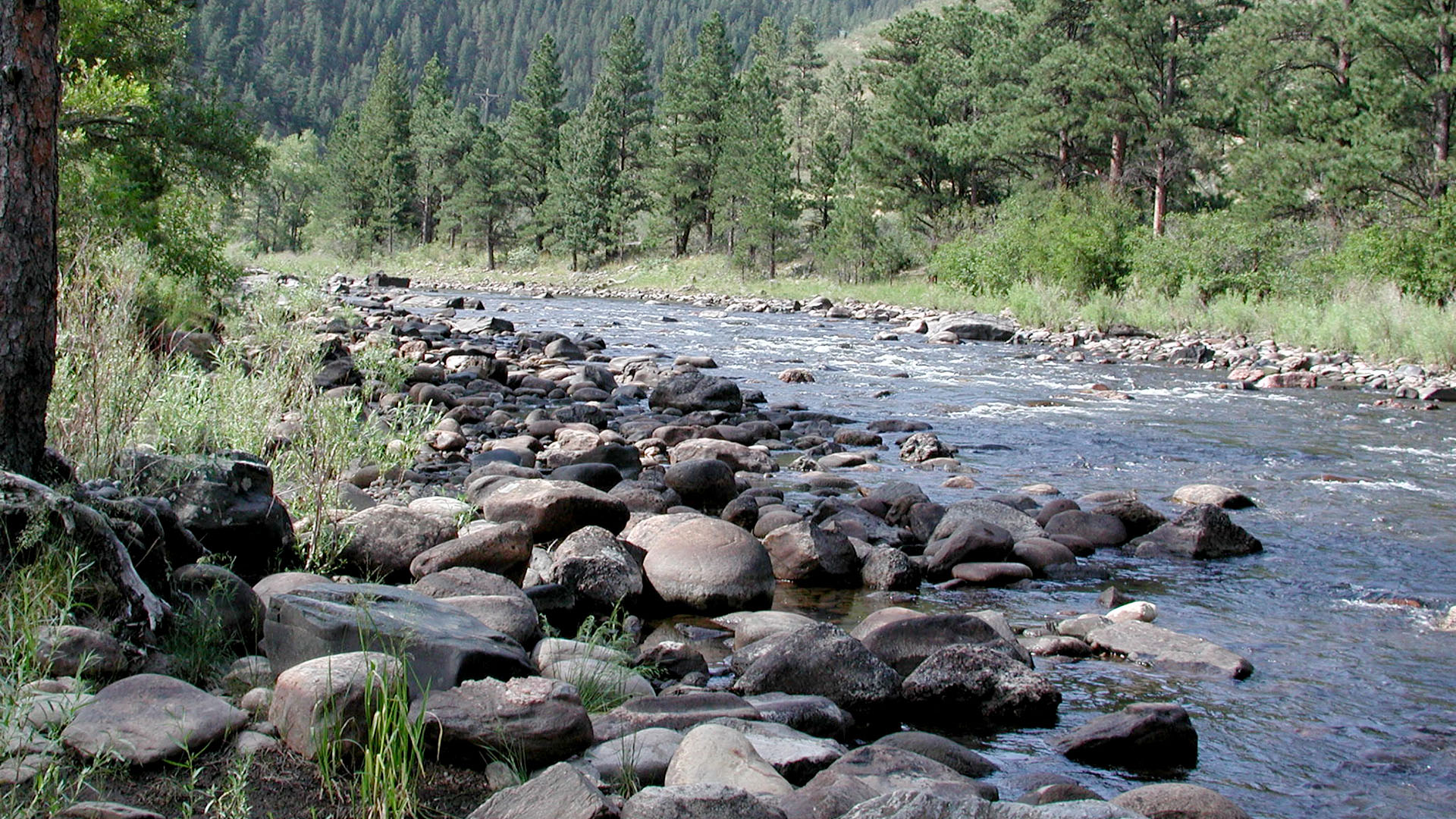 Water flowing through Poudre Canyon