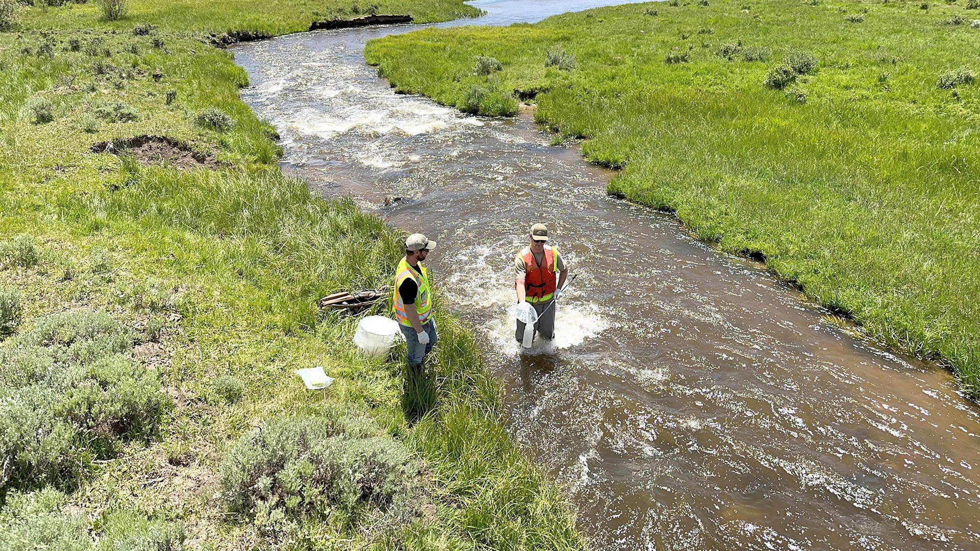 Two men standing in river collecting water quality samples with green brush on both sides.