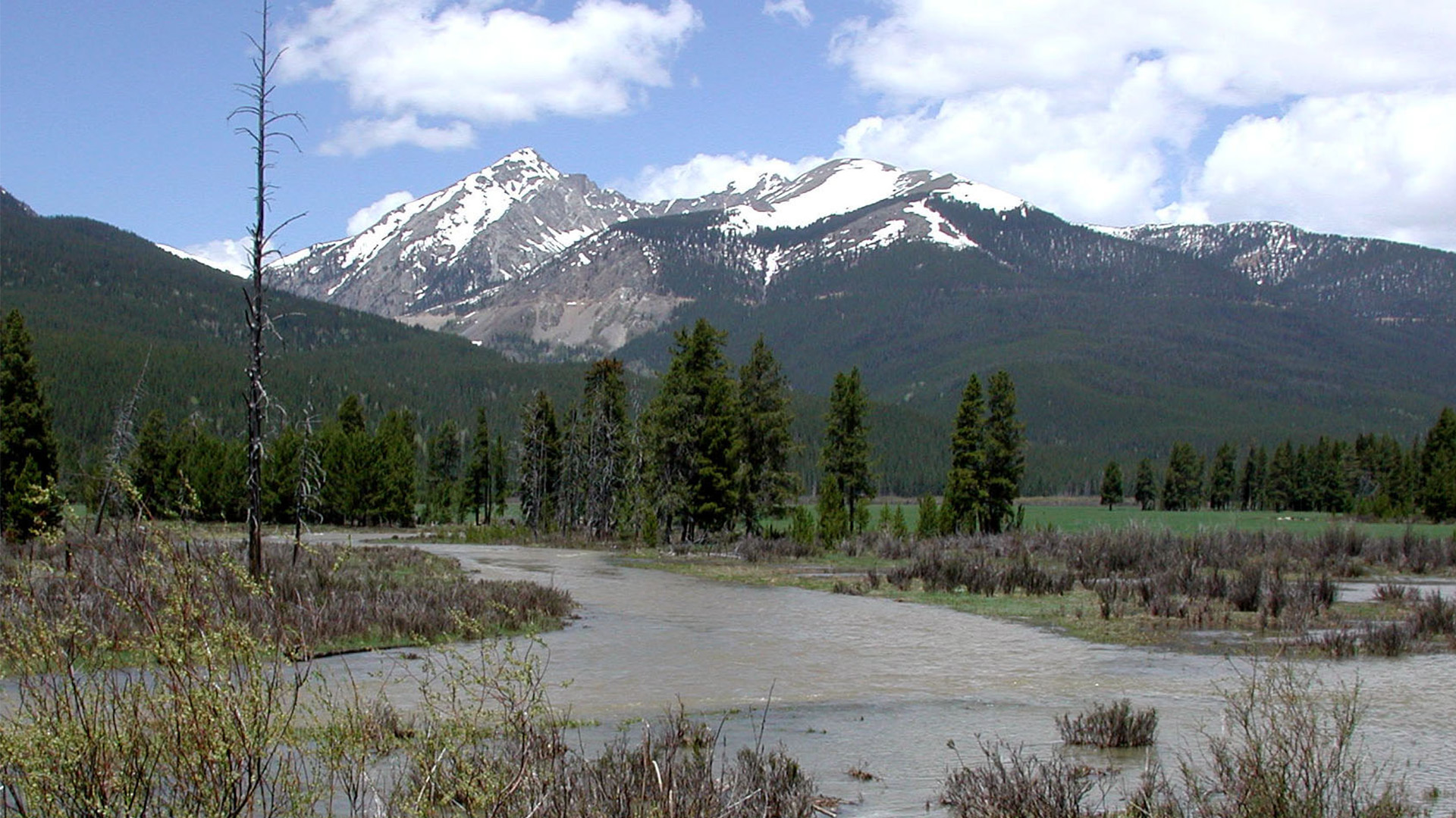 Upper Colorado River.
