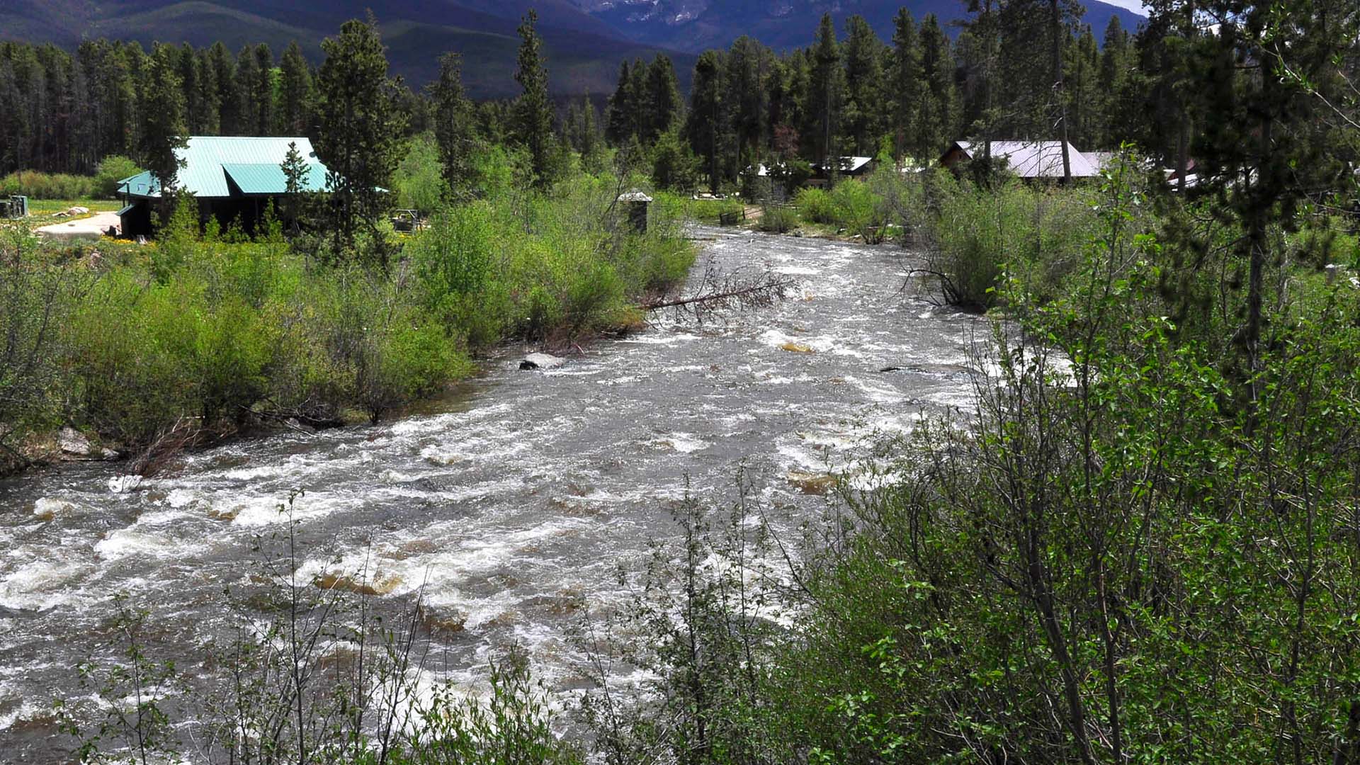 Water flowing down the Colorado River with low green shrubs on each side. 