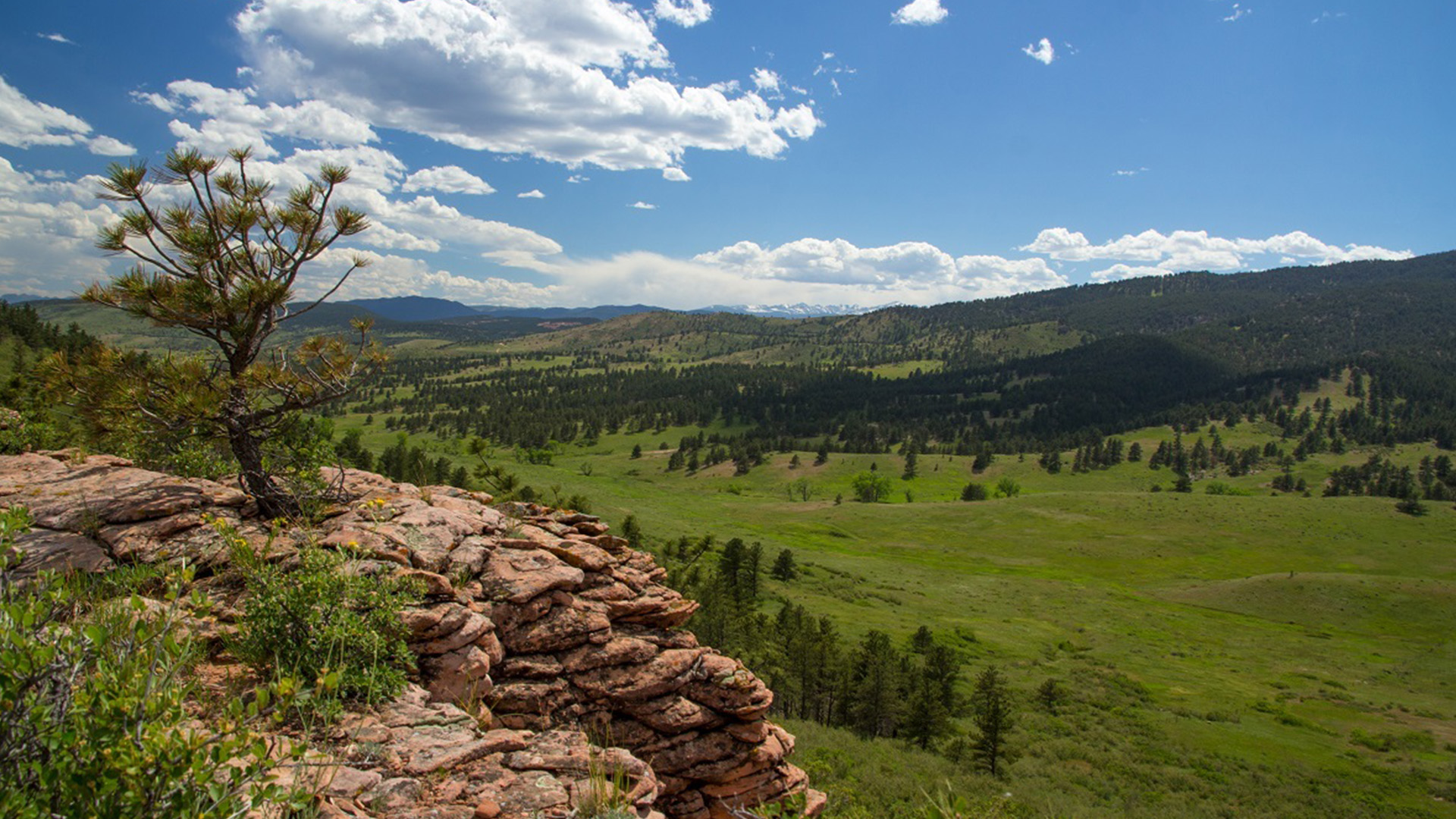 Larimer County Chimney Hollow Open Space