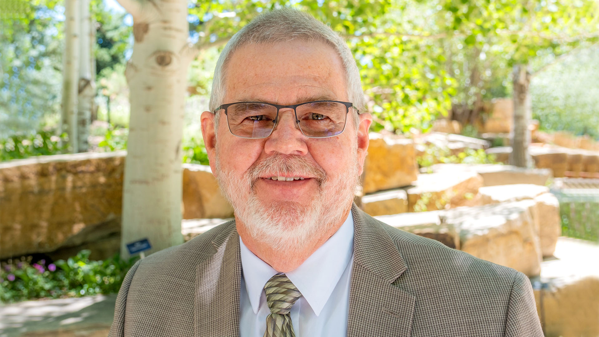 Portrait of David Nettles, Weld County Director