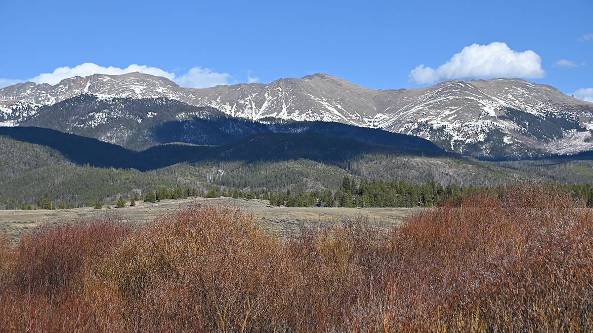 light snow is seen on mountains in the background, dried shrubs in the foreground