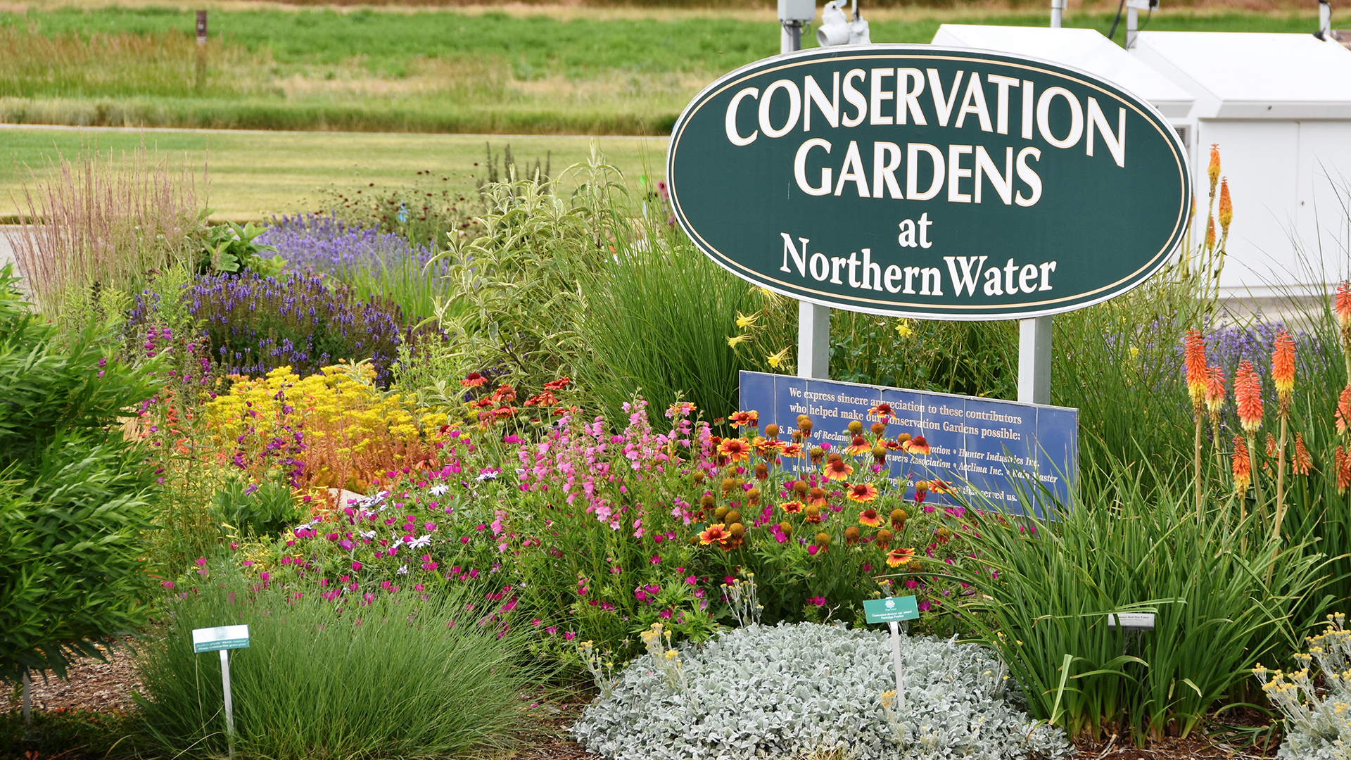 Conservation Gardens at Northern Water sign with colorful flowers around it.