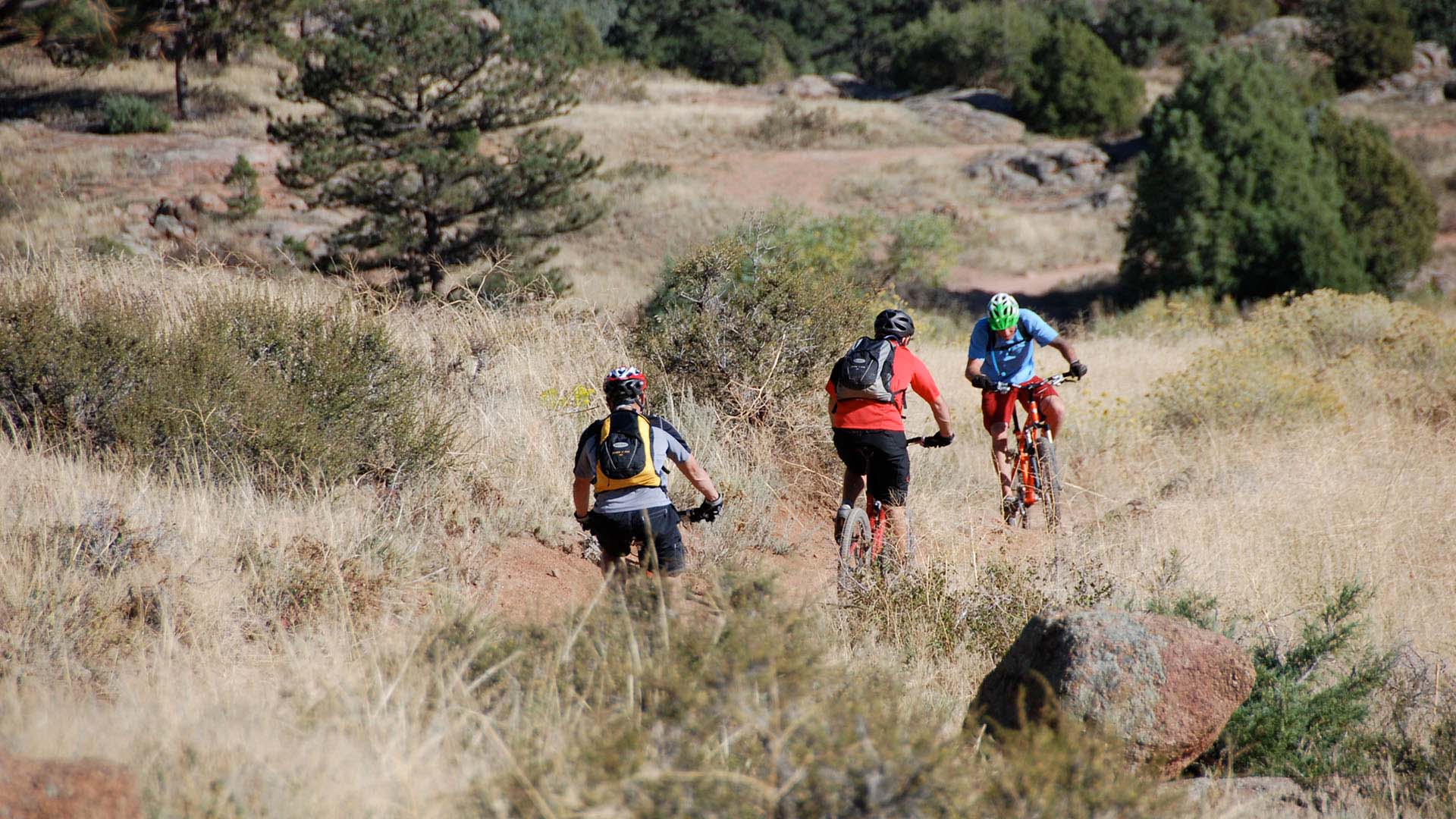 Three people on mountain bikes riding a mountain trail. 