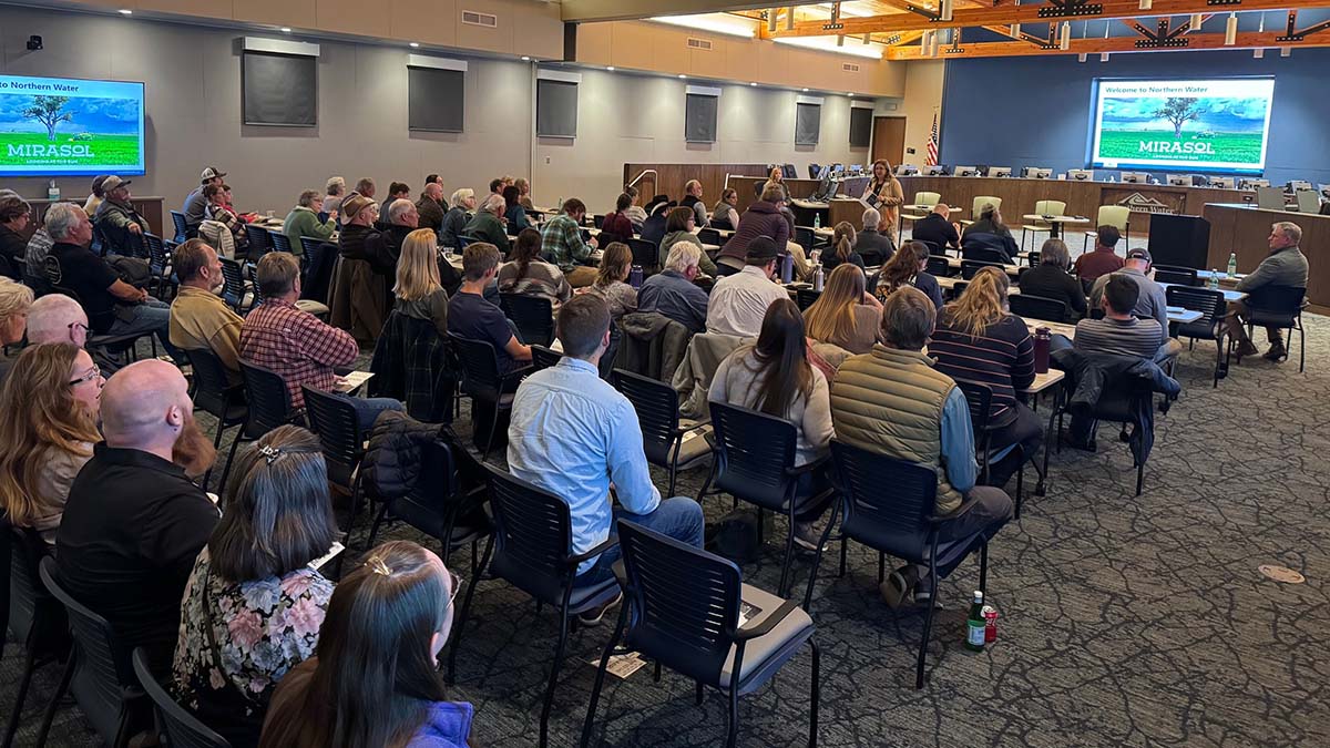 A crowd of people sit in a room with a video playing on two screens