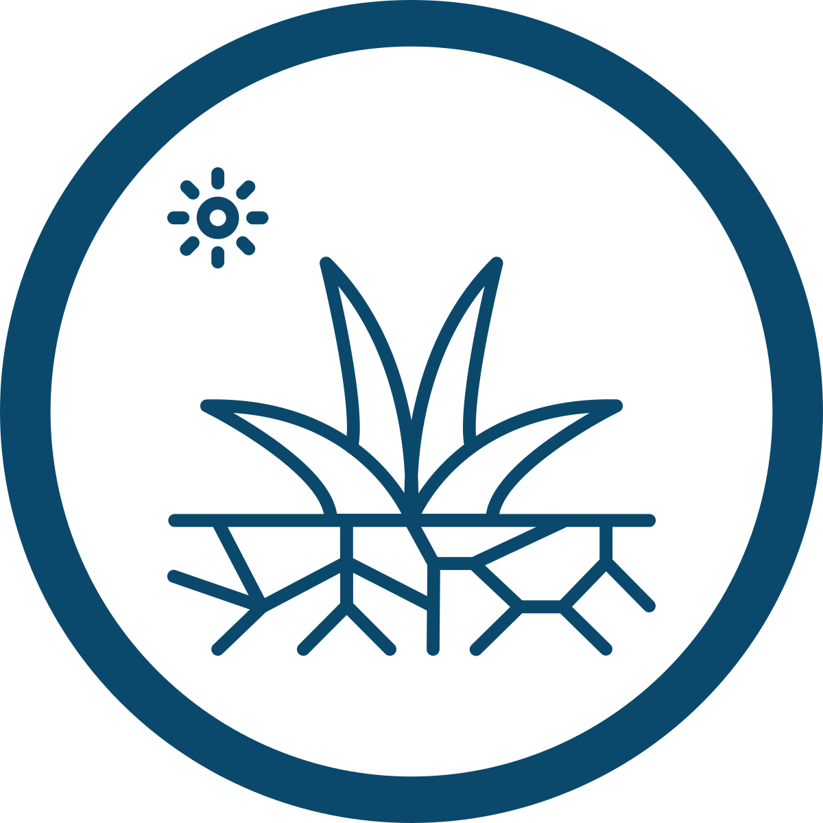 icon drought tolerant