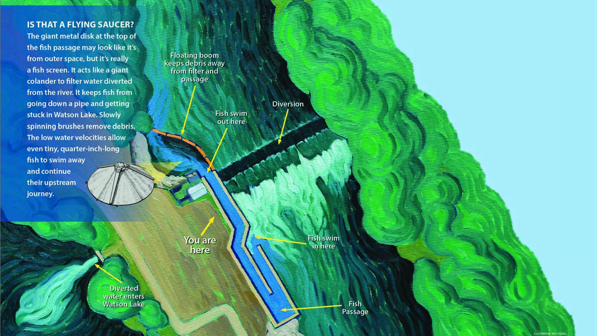 artwork of Watson Lake Fish Bypass on the Poudre River near Fort Collins, CO