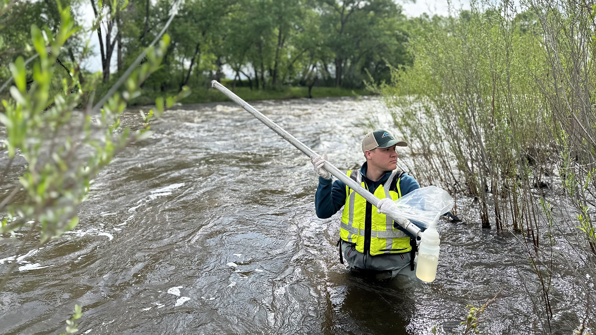 Employee in the river in waders collecting water samples