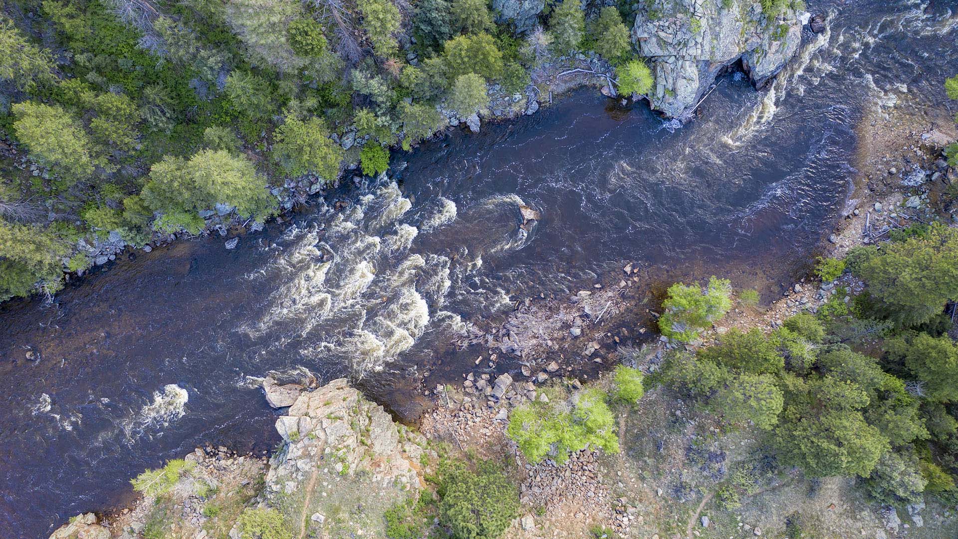 Aerial image of water in a river with tall evergreen trees on the banks.