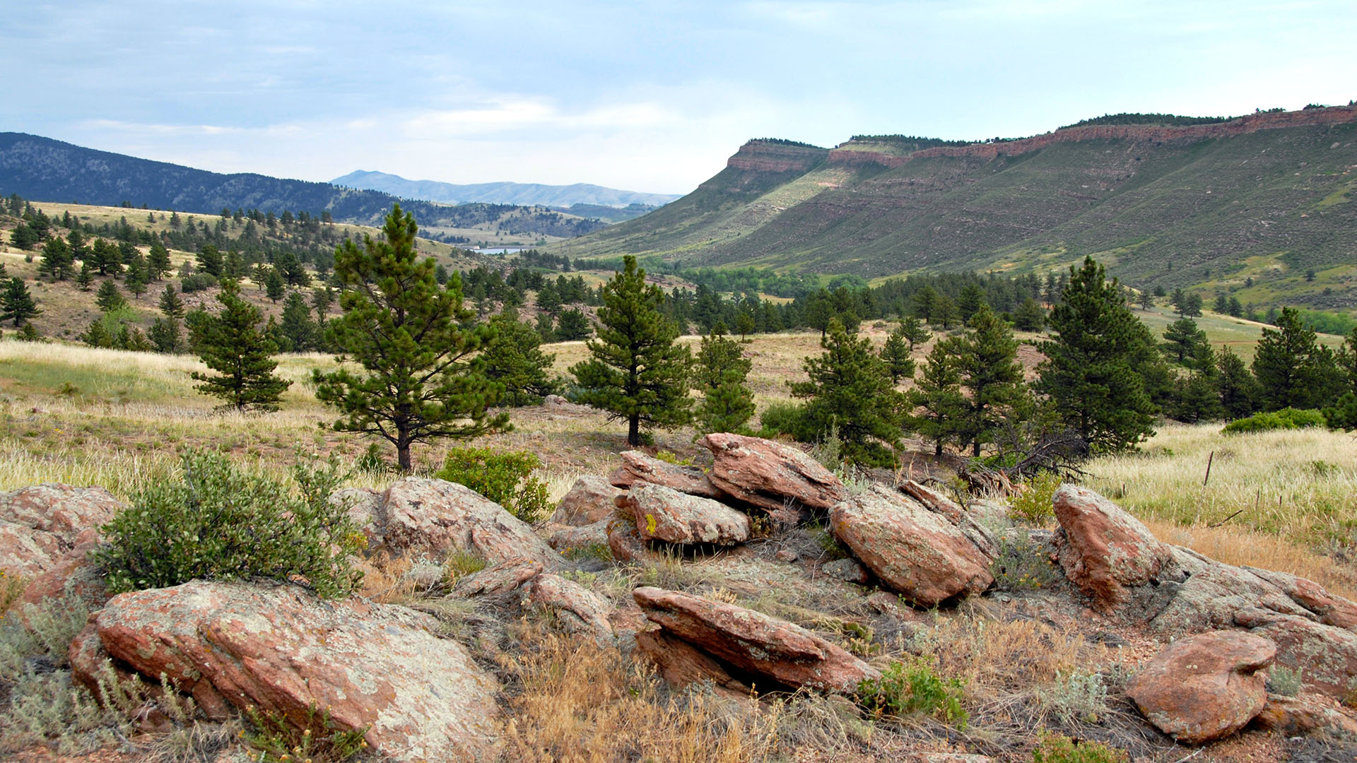 Boulders in the foreground with a valley open behind it. Trees and bluffs also in the background. 