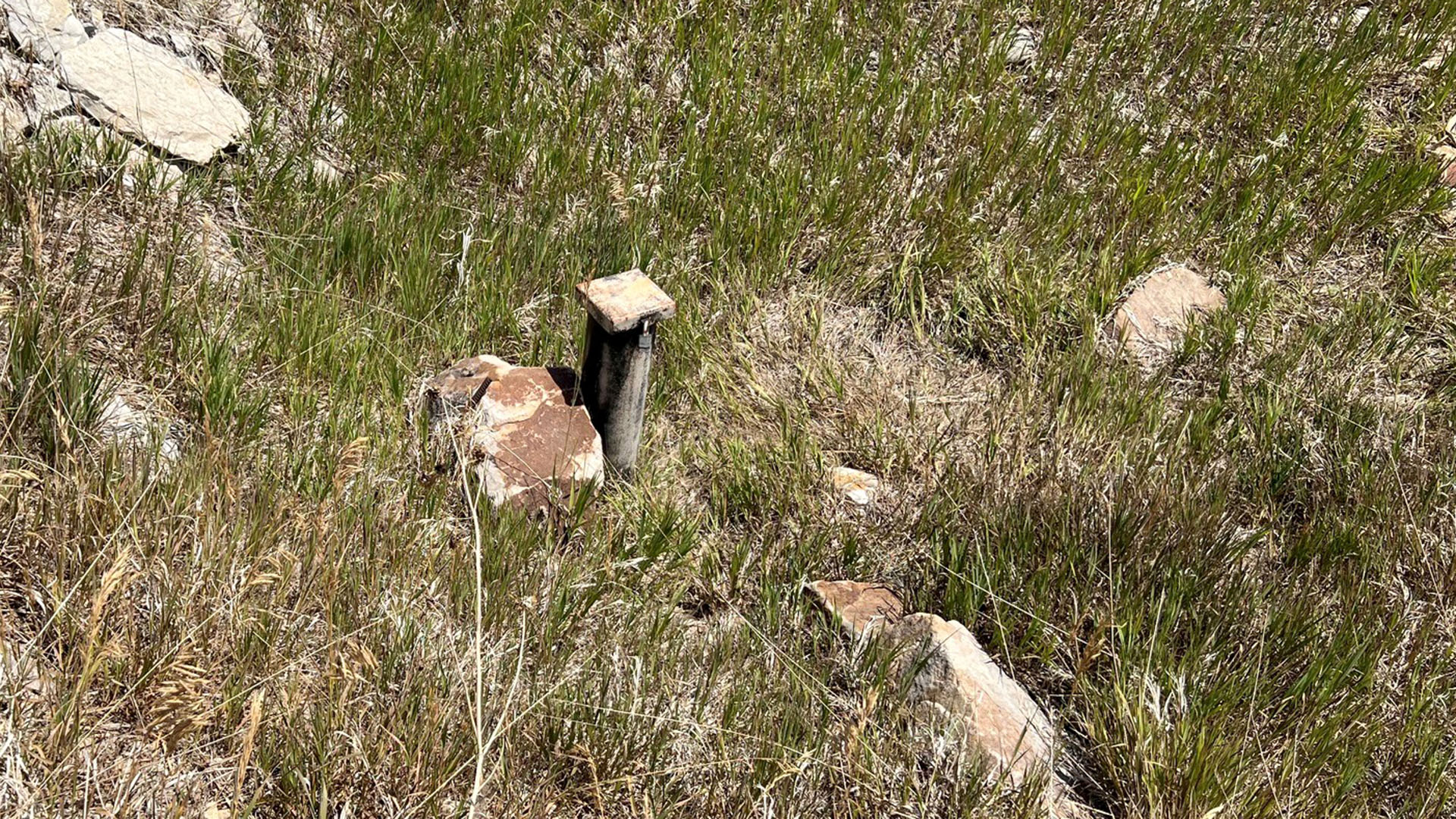 A small post sticking up around prairie grass and rocks noting a Syntex well. 