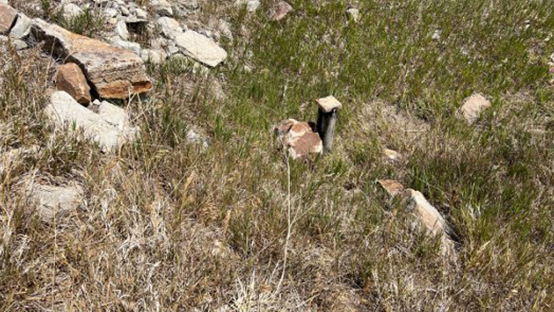 A small post sticking up around prairie grass and rocks noting a Syntex well. 