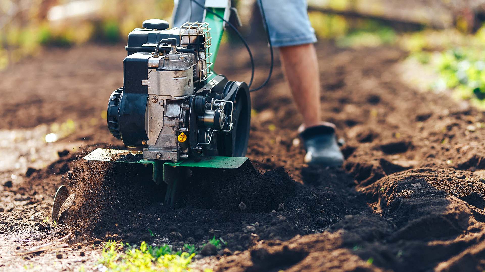 Person pushing a tiller through dirt in garden.
