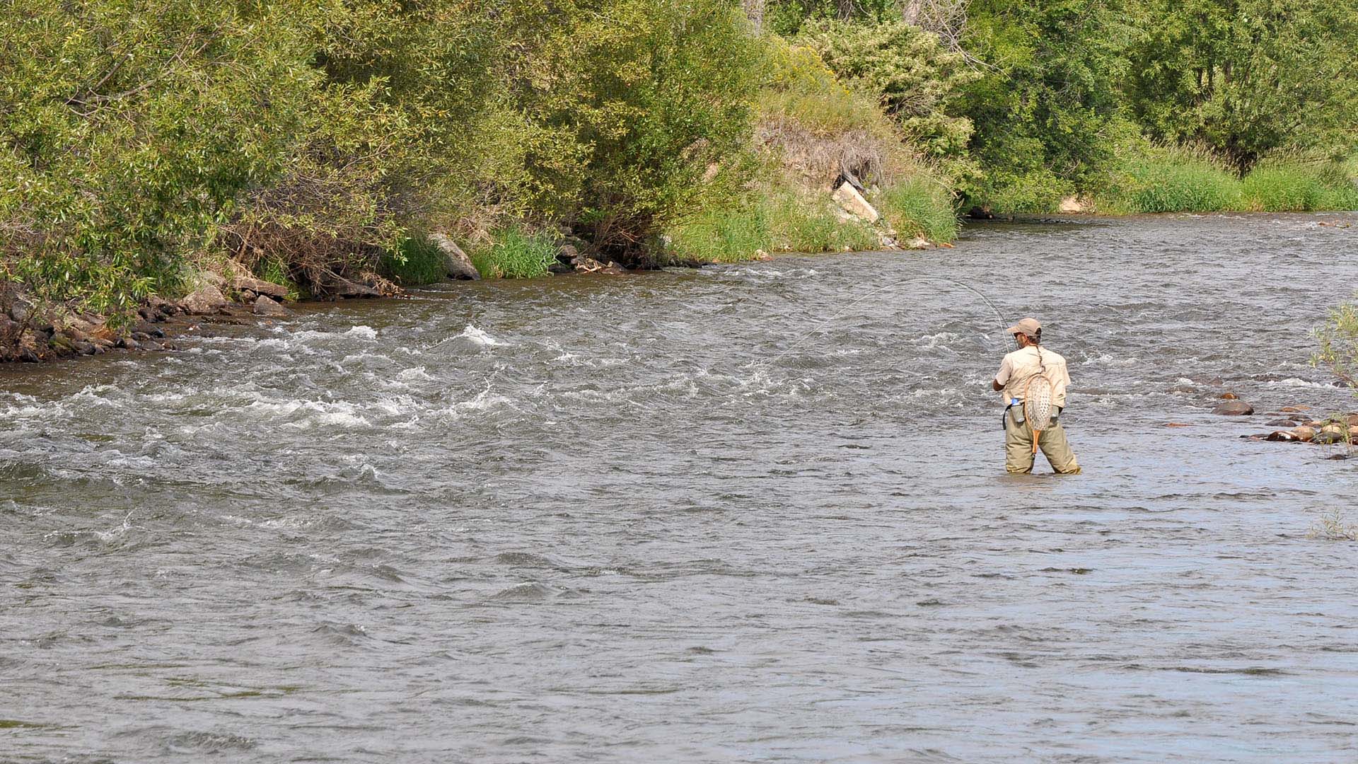Man standing in a river fly fishing. 