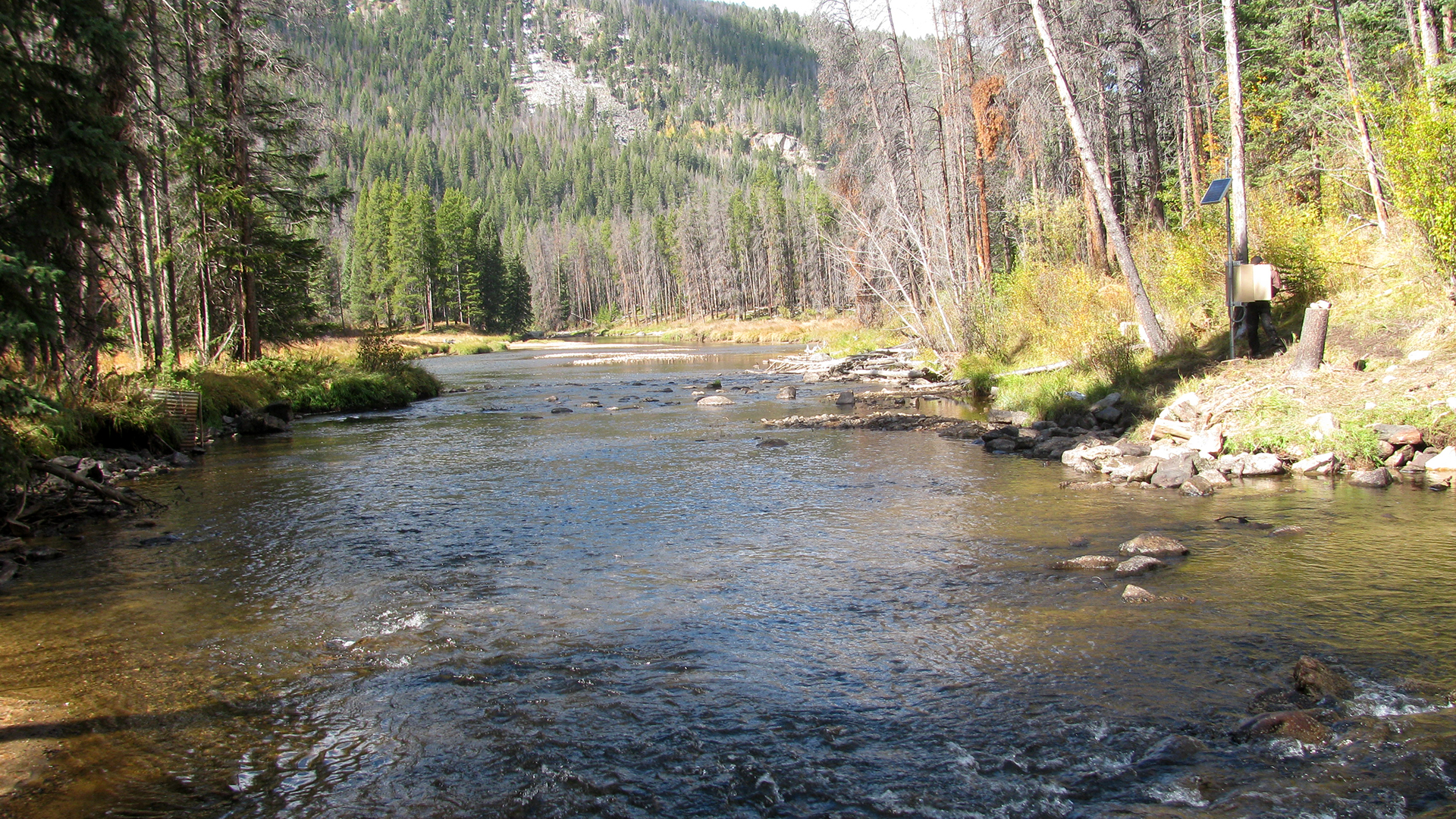 River with flowing water