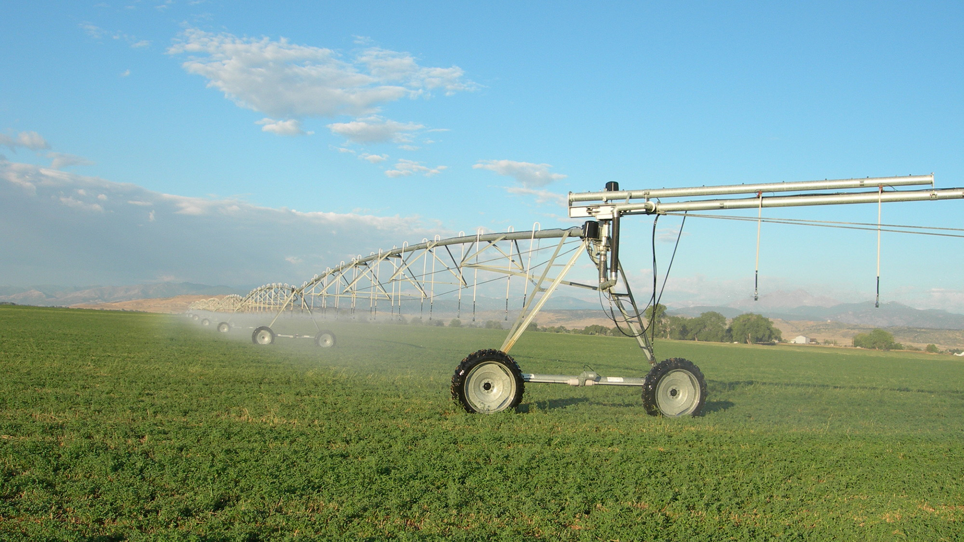 Water coming out of an ag pivot in a field.