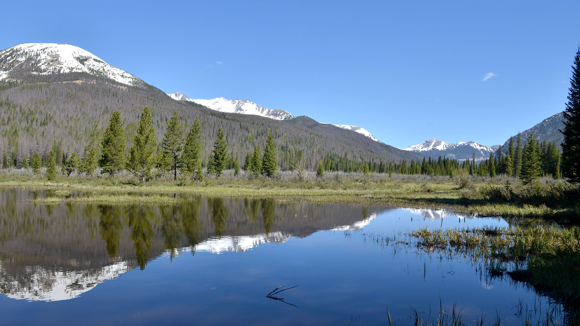WAter with trees along edges and mountains in background.