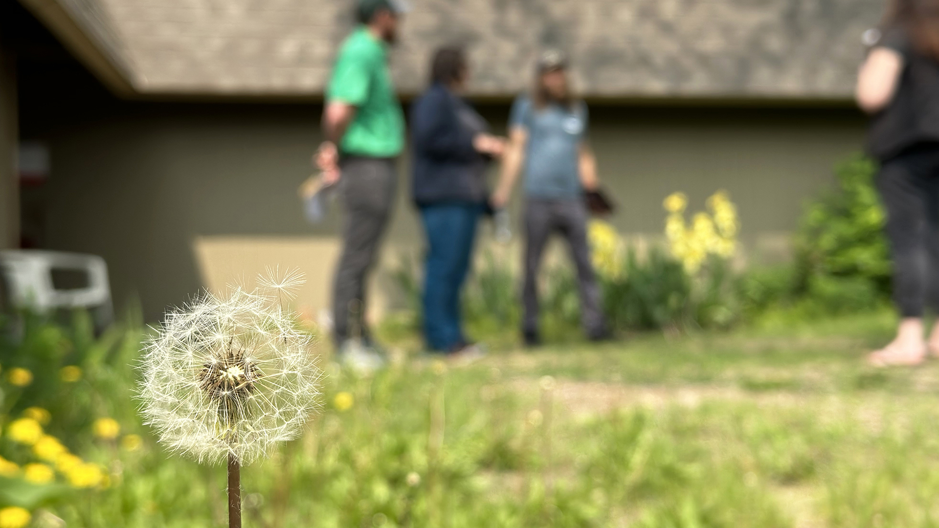 three people in the background consulting a landscape consultation