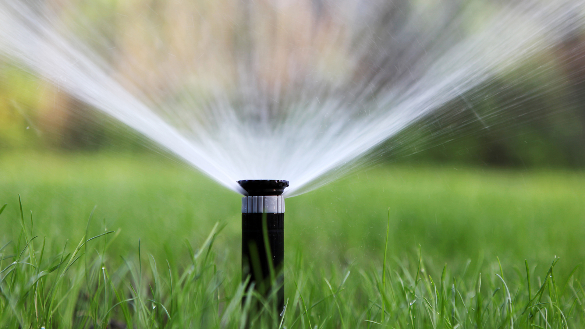 pop up sprinkler head